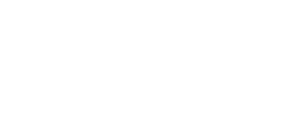 Dyt Gokce Kapcak